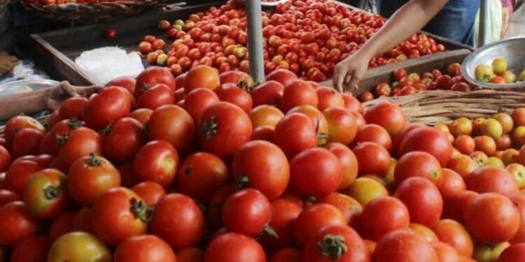 Tomato prices surge past Rs 100 in Vizag, Rs 75 at Rythu Bazaars