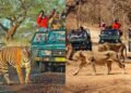 national parks in India that offer wildlife safaris