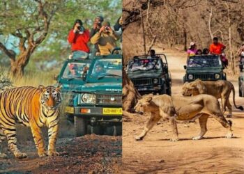 national parks in India that offer wildlife safaris