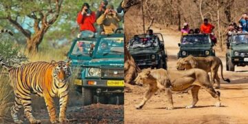 national parks in India that offer wildlife safaris