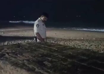 Mysterious wooden box washes ashore on RK Beach in Vizag, assumed to weigh 100 tonnes