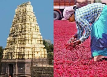 Unique reasons why these 7 places in Andhra Pradesh make the state famous