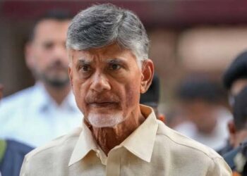 HC grants regular bail to Chandrababu Naidu in skill development scam case