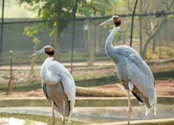 Get set for fun at Vizag zoo!