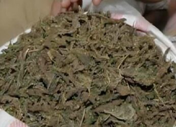 Ganja trade flourishes in Vizag despite frequent raids