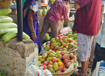 The ‘king’ arrives in Vizag market