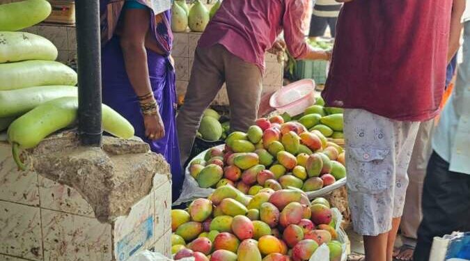 Mango season thrives in Visakhapatnam