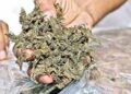 Ganja smuggling caught red-handed at Vizag station