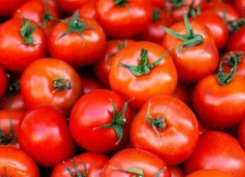 Tomato gets costlier in Vizag