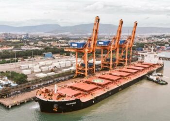 Largest cargo vessel to dock in India arrives at Visakhapatnam port