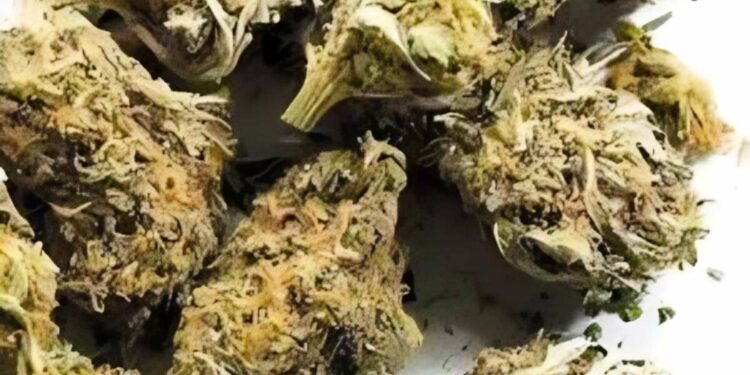 Ganja seized, two women held in Anakapalle in Visakhapatnam