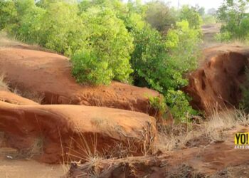 Bulldozers at Erra Matti Dibbalu in Visakhapatnam stir public outcry