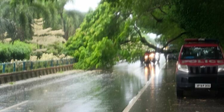 Control room set up at Visakhapatnam Collectorate amidst heavy rains