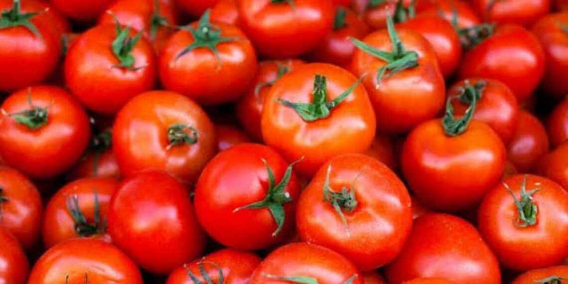 Tomato price in Visakhapatnam rythu bazaars hike to Rs 54 per kg