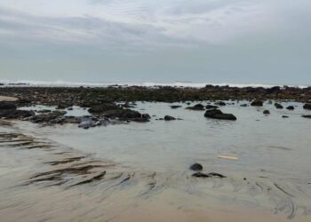 Here's what really caused the sea recession at RK Beach, Visakhapatnam