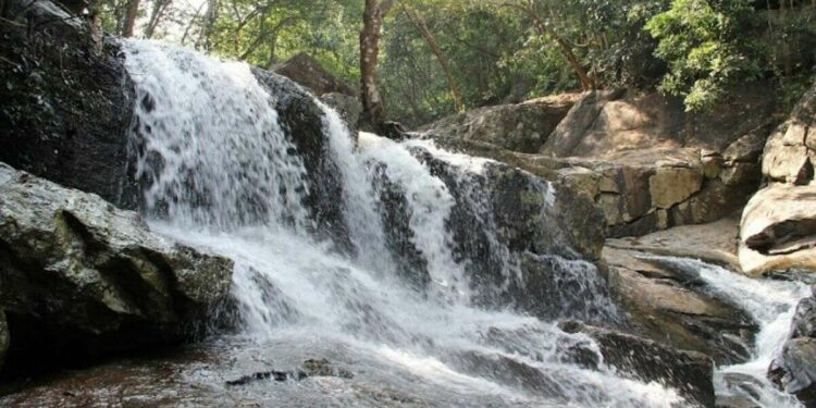 Two medical students died in Maredumilli waterfalls