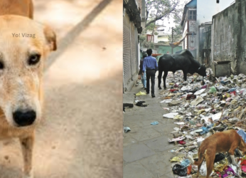 Street dogs to Garbage dumps: 5 urban issues troubling the people of Visakhapatnam daily