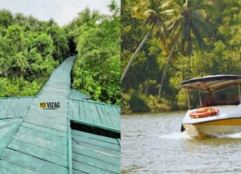 Weekend getaway from Visakhapatnam: Visit India’s 3rd largest mangrove forest, just 190 km away