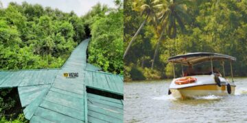 Weekend trip from Visakhapatnam: Visit India's 3rd largest mangrove forest, just 190 km away