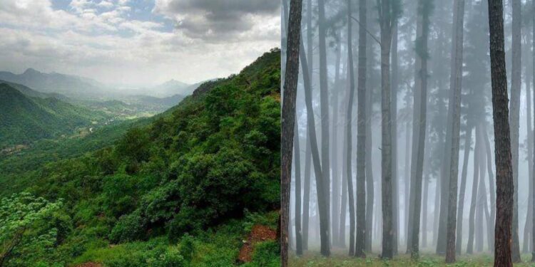 7 movies shot in Araku, Visakhapatnam that will make you pack your bags right now!