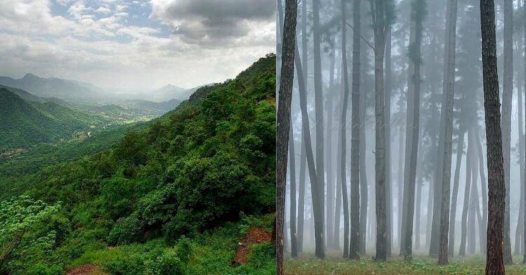 7 movies shot in Araku, Visakhapatnam that will make you pack your bags right now!