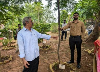 Rate fig tree planted at Biodiversity Park, Visakhapatnam