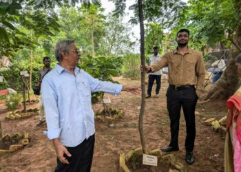 Rate fig tree planted at Biodiversity Park, Visakhapatnam