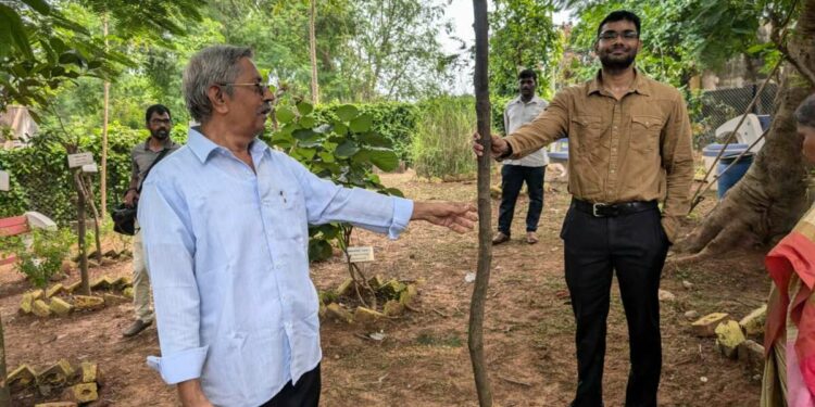 Rate fig tree planted at Biodiversity Park, Visakhapatnam