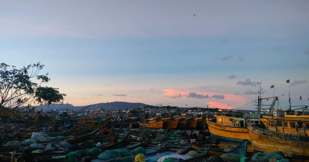 5 reasons why Visakhapatnam Fishing Harbour has our heart!