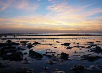 Not your usual beach day: 5 iconic times Visakhapatnam's beaches made headlines