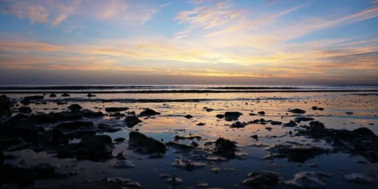 Not your usual beach day: 5 iconic times Visakhapatnam's beaches made headlines