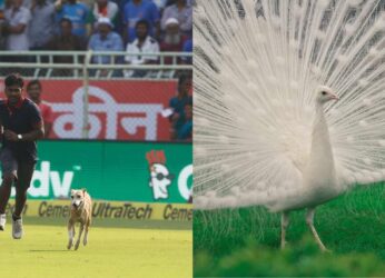 6 iconic times animals stole the show in Visakhapatnam and won our hearts!