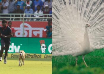 6 iconic times animals stole the show in Visakhapatnam and won our hearts!