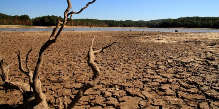 IIT study identifies Visakhapatnam as a high-risk drought zone in AP