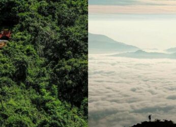 Araku vs Vanjangi: Which one should you pick for your winter getaway from Visakhapatnam?