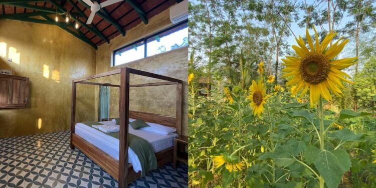 Leave the city and live carefree at these beautiful farm stays near Visakhapatnam!