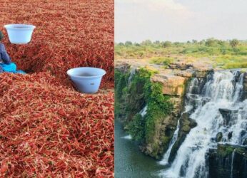 Here’s your ultimate travel guide from Visakhapatnam to Asia’s biggest chilli market!