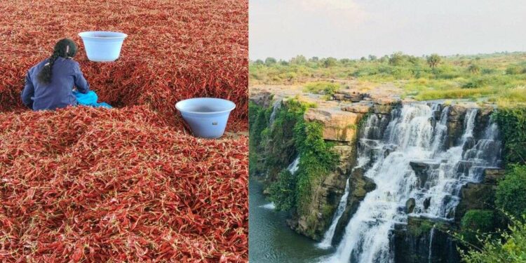 Reach Asia's biggest chilli market - Guntur - from Visakhapatnam!